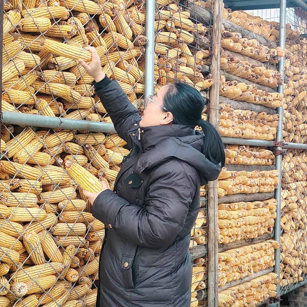 园长带你观农村(柳行)