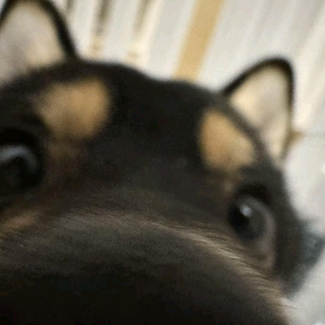 顾哲