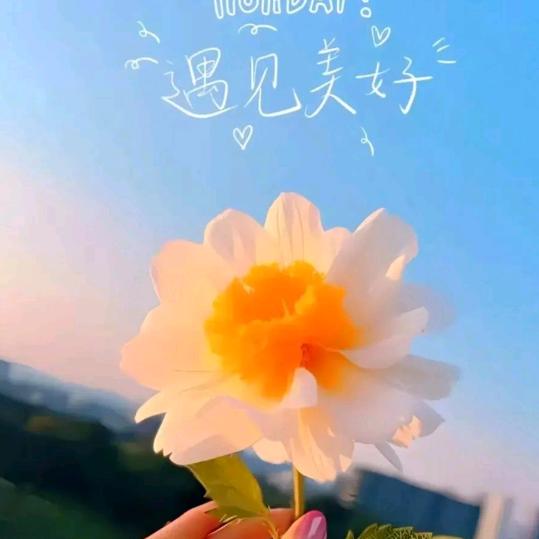 平安健康喜乐