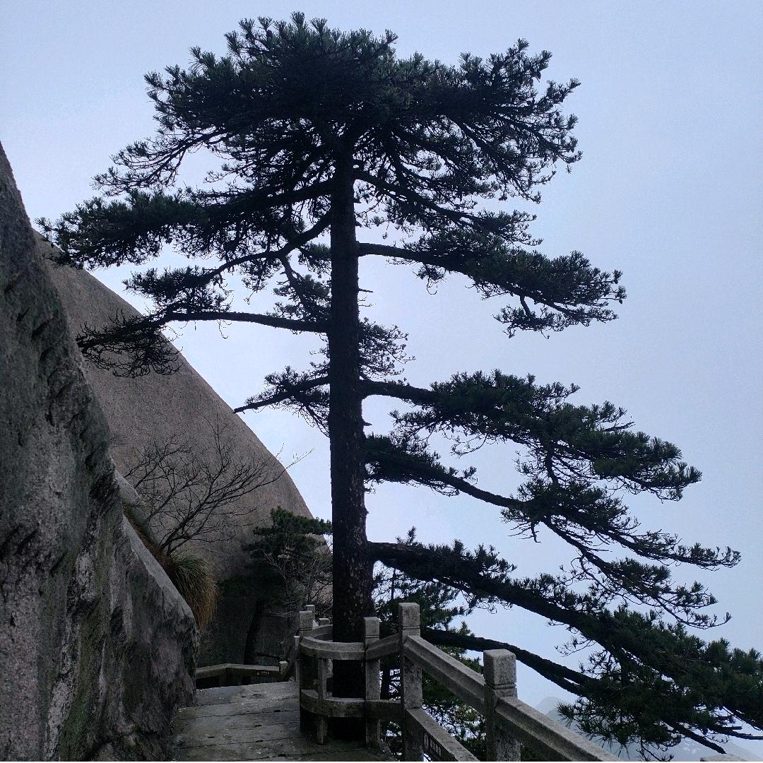 门窗