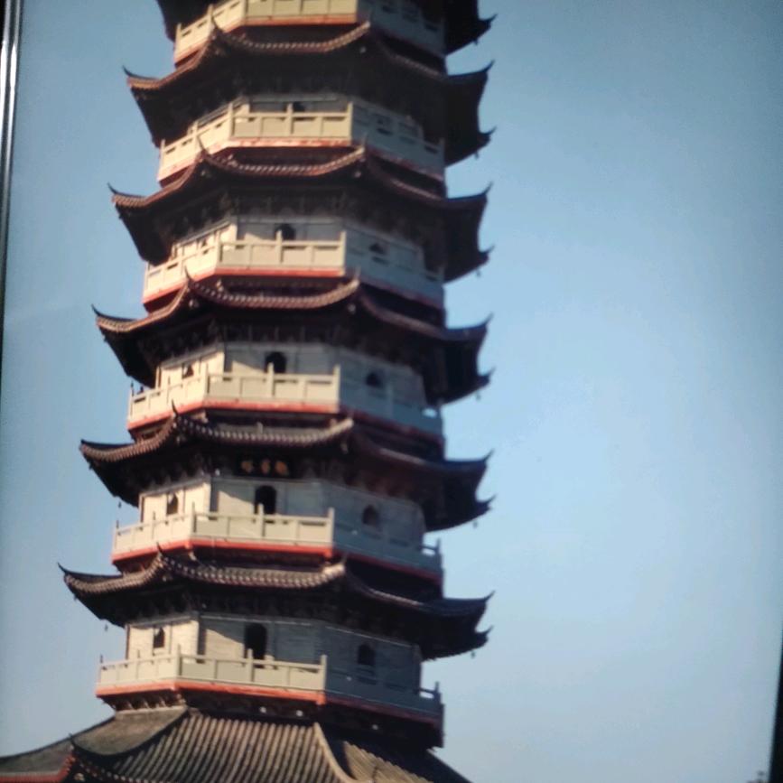 大好年华