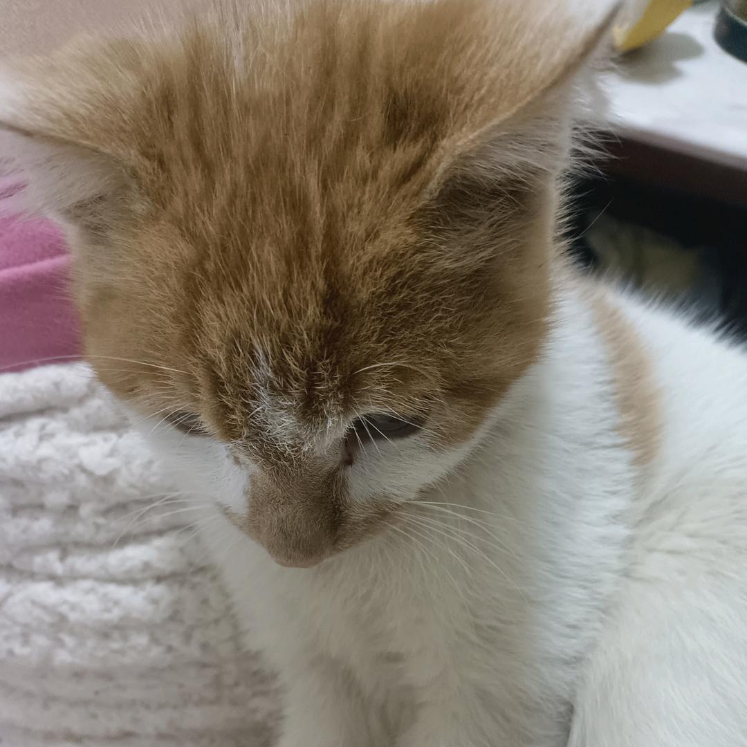 i。i头像