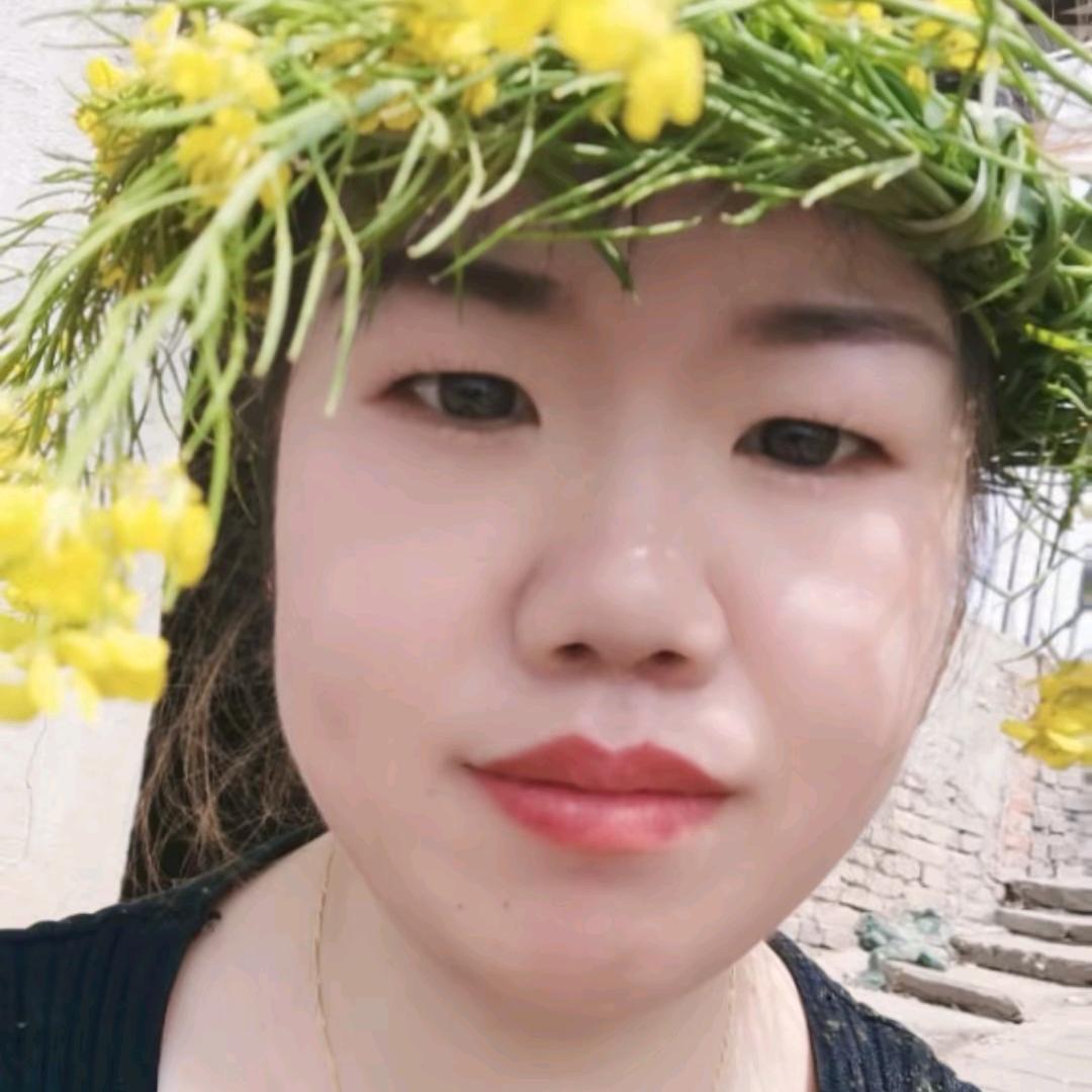 爱吃鱼的猫猫