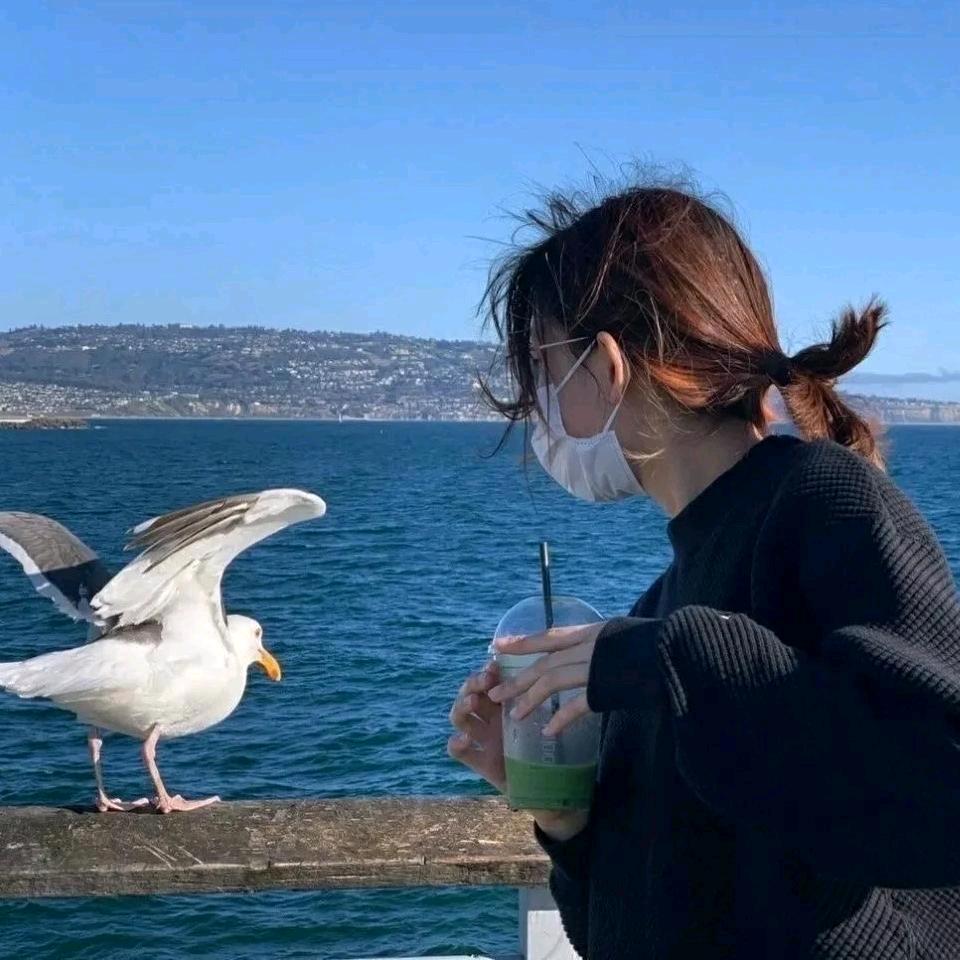 泽月