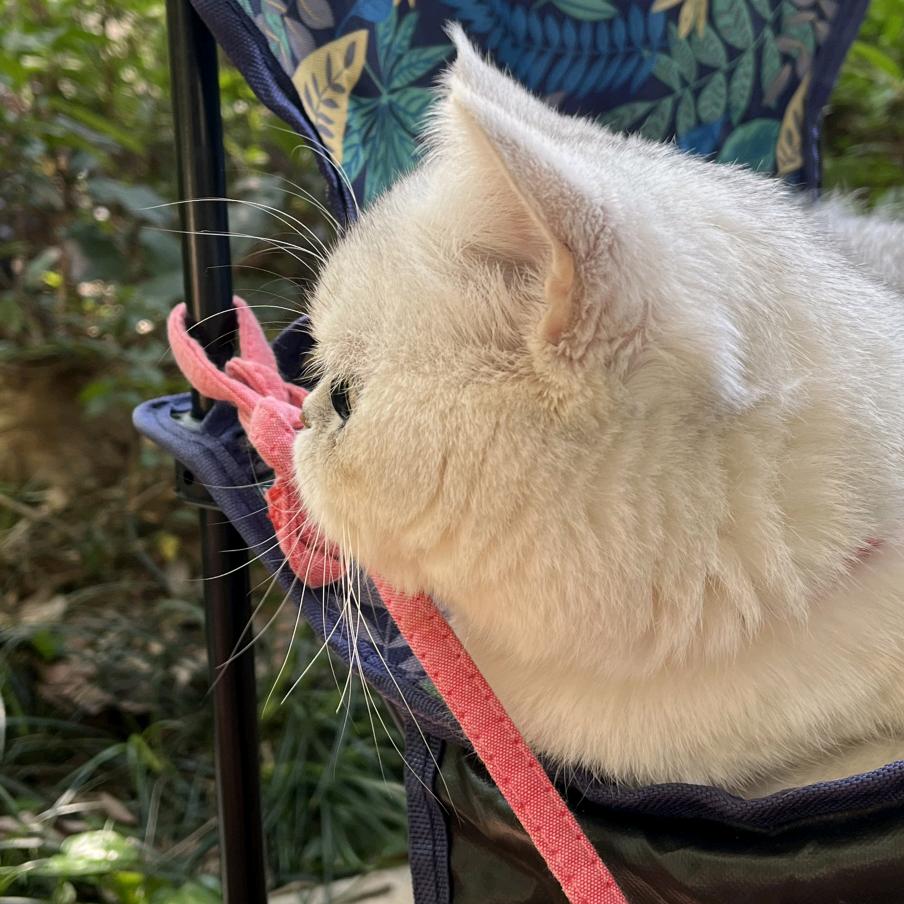 克莱茵美学阅读馆