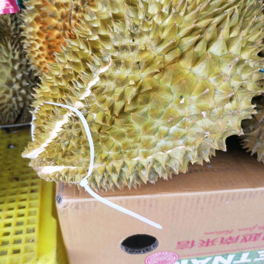 榴莲