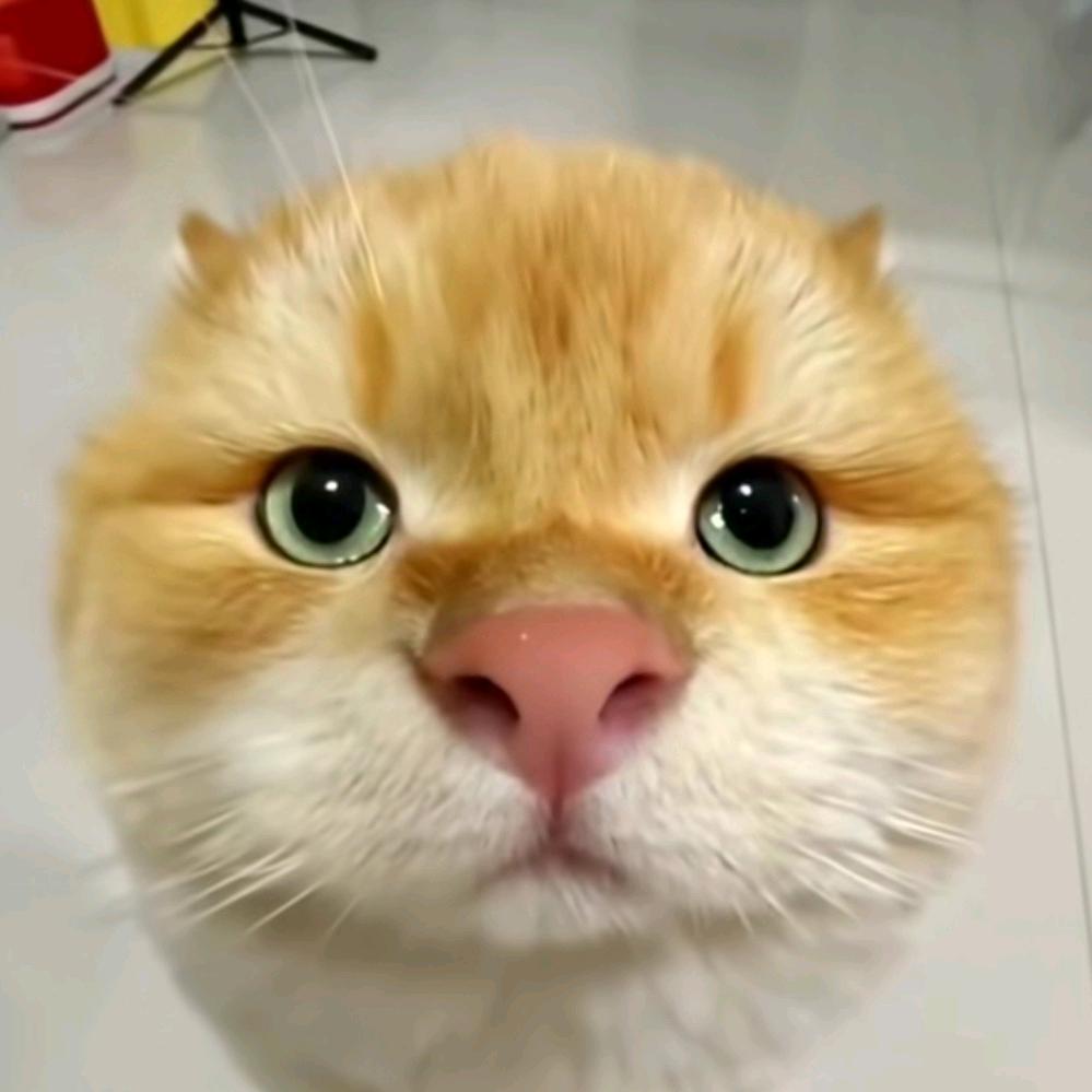 青鸢