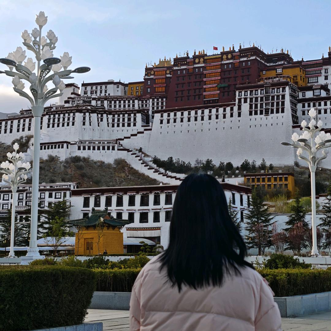 南栀