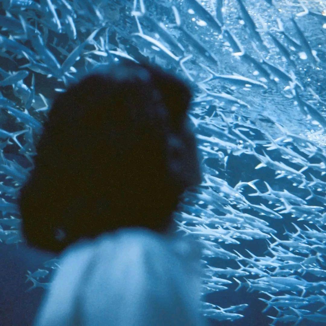 豆豆豆豆本豆🎋 ˣᵘᵃⁿ