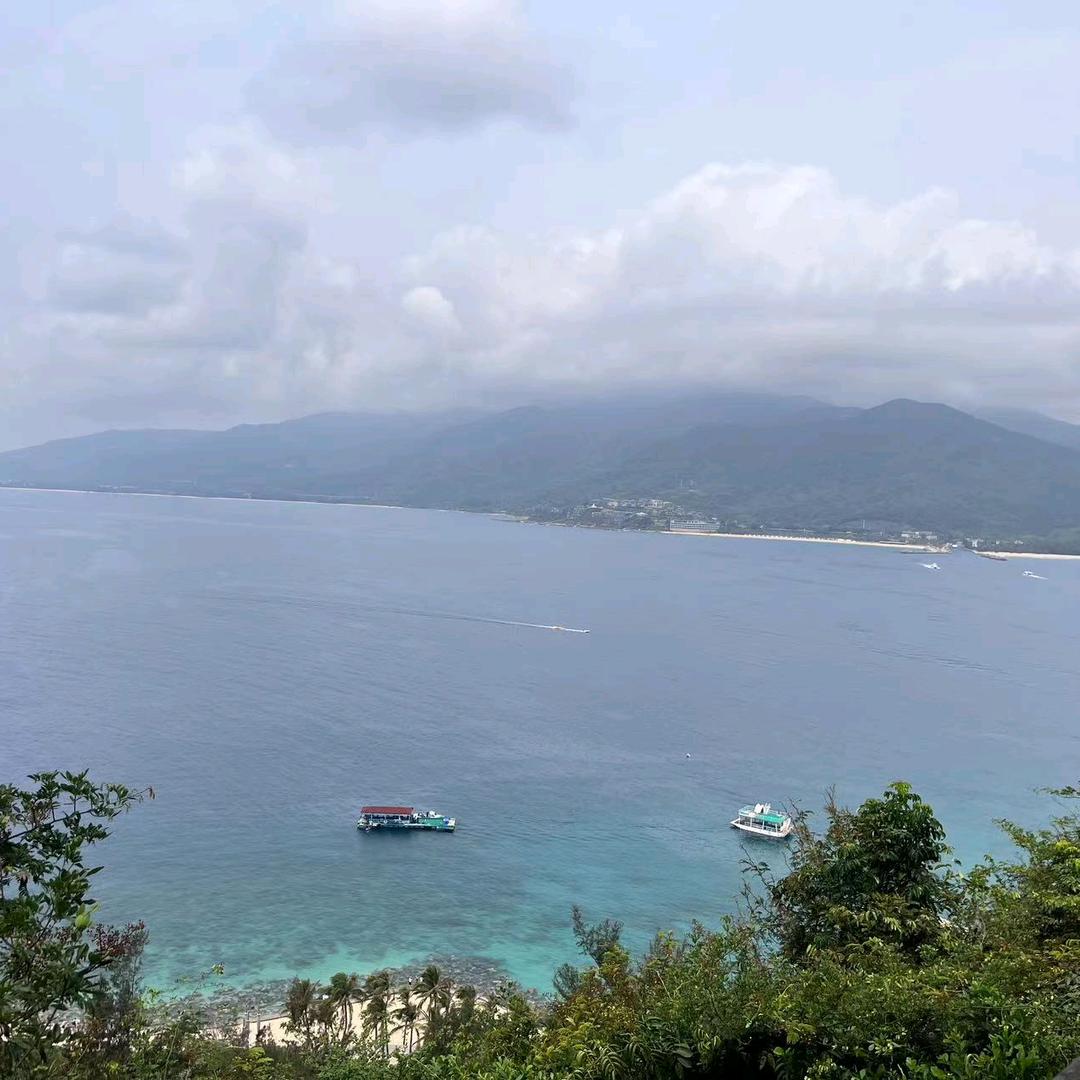 思念
