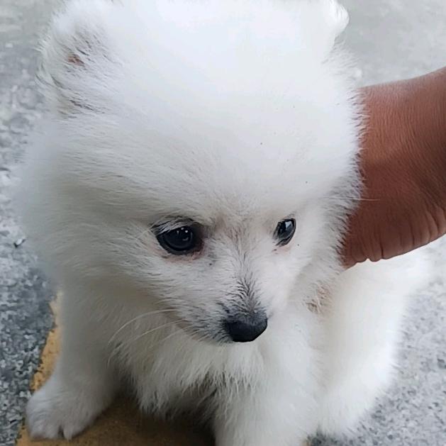 不幸福的人