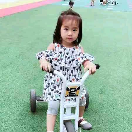 与风同行