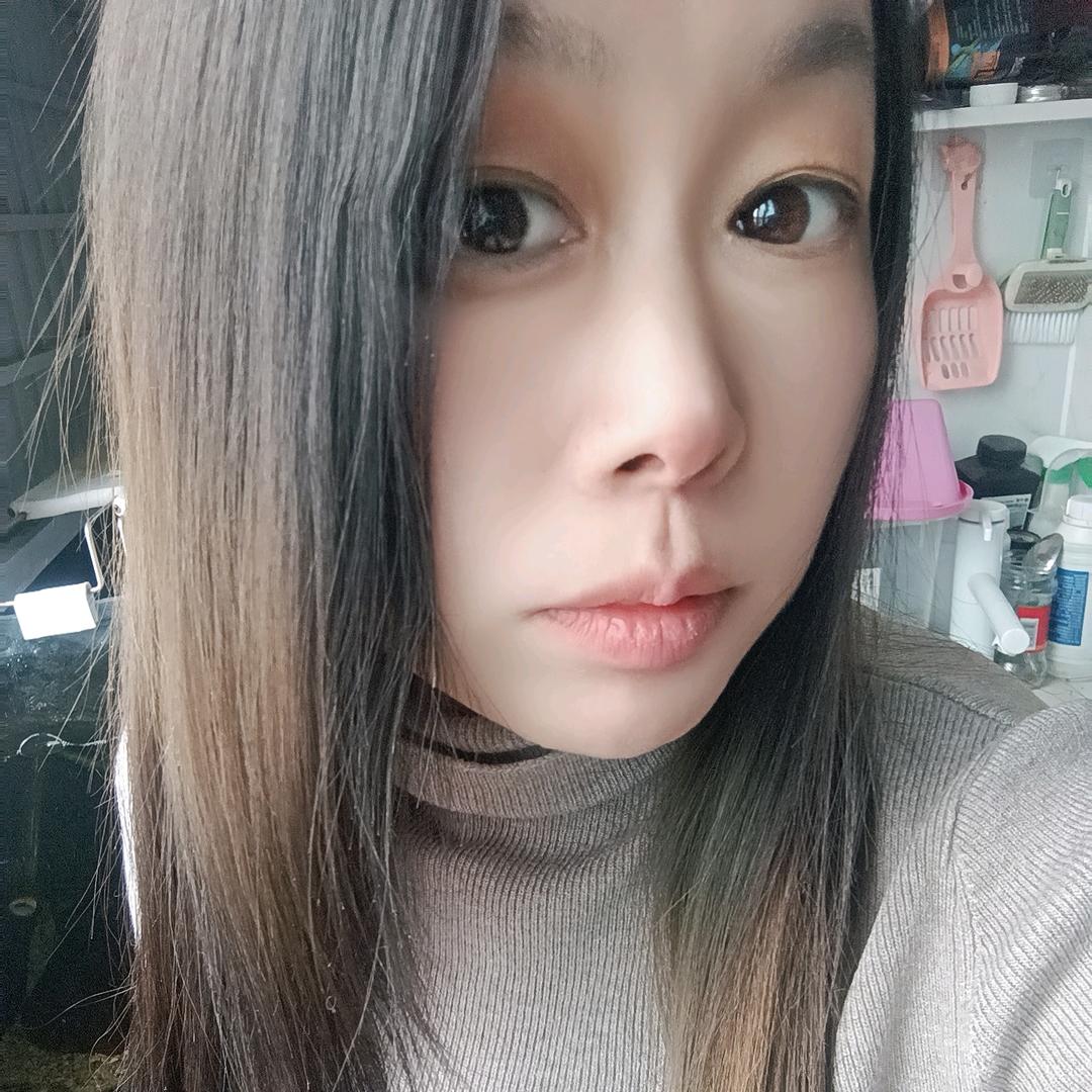 动物城