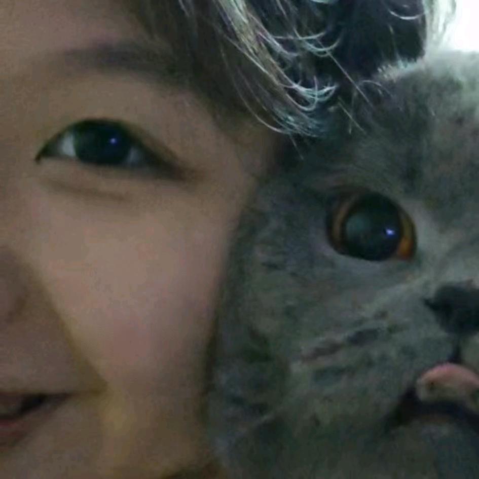 团团猪