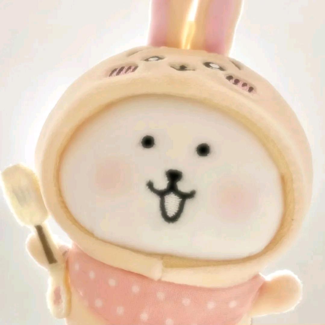 鸽子🕊️💤