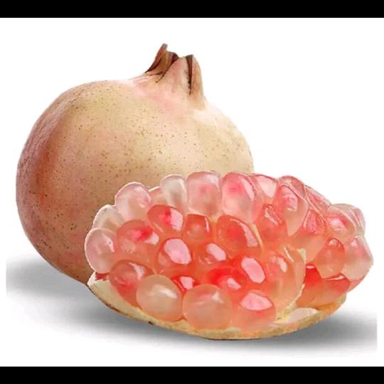 高老高