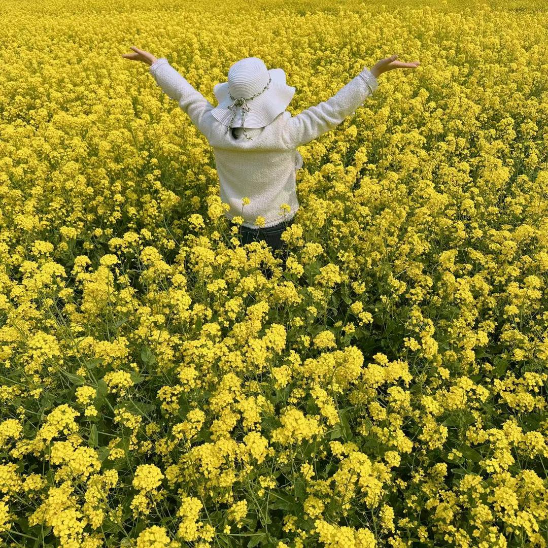 虹彩媚媚