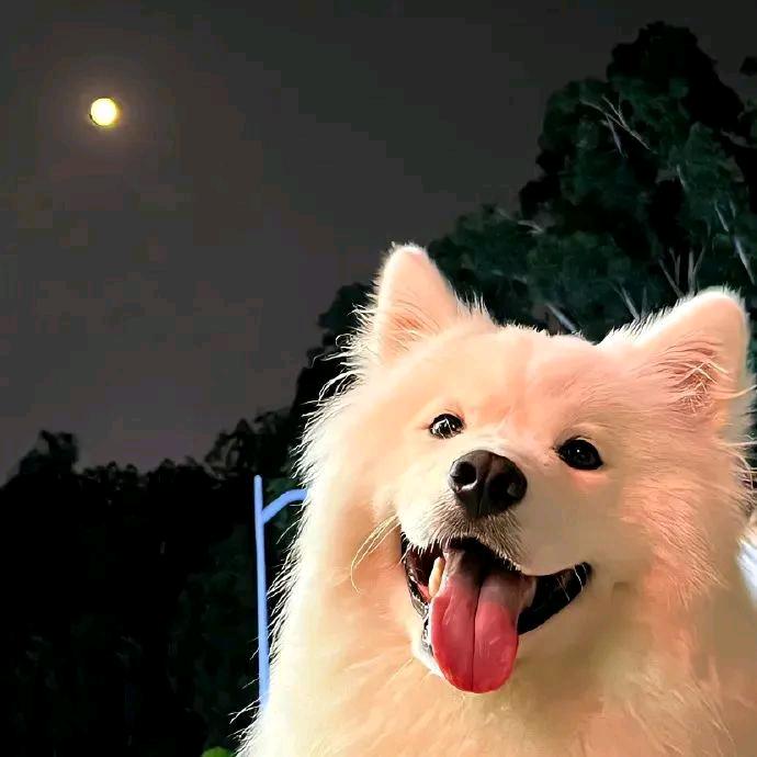 风吹又起