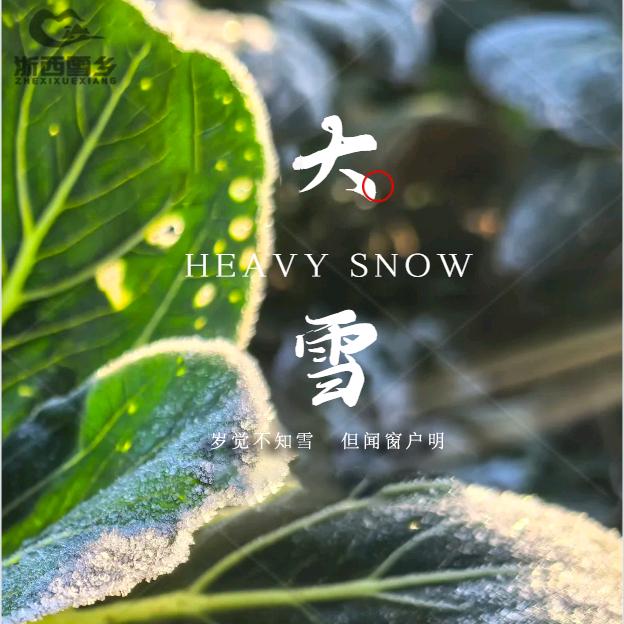 雪乡种菜日记