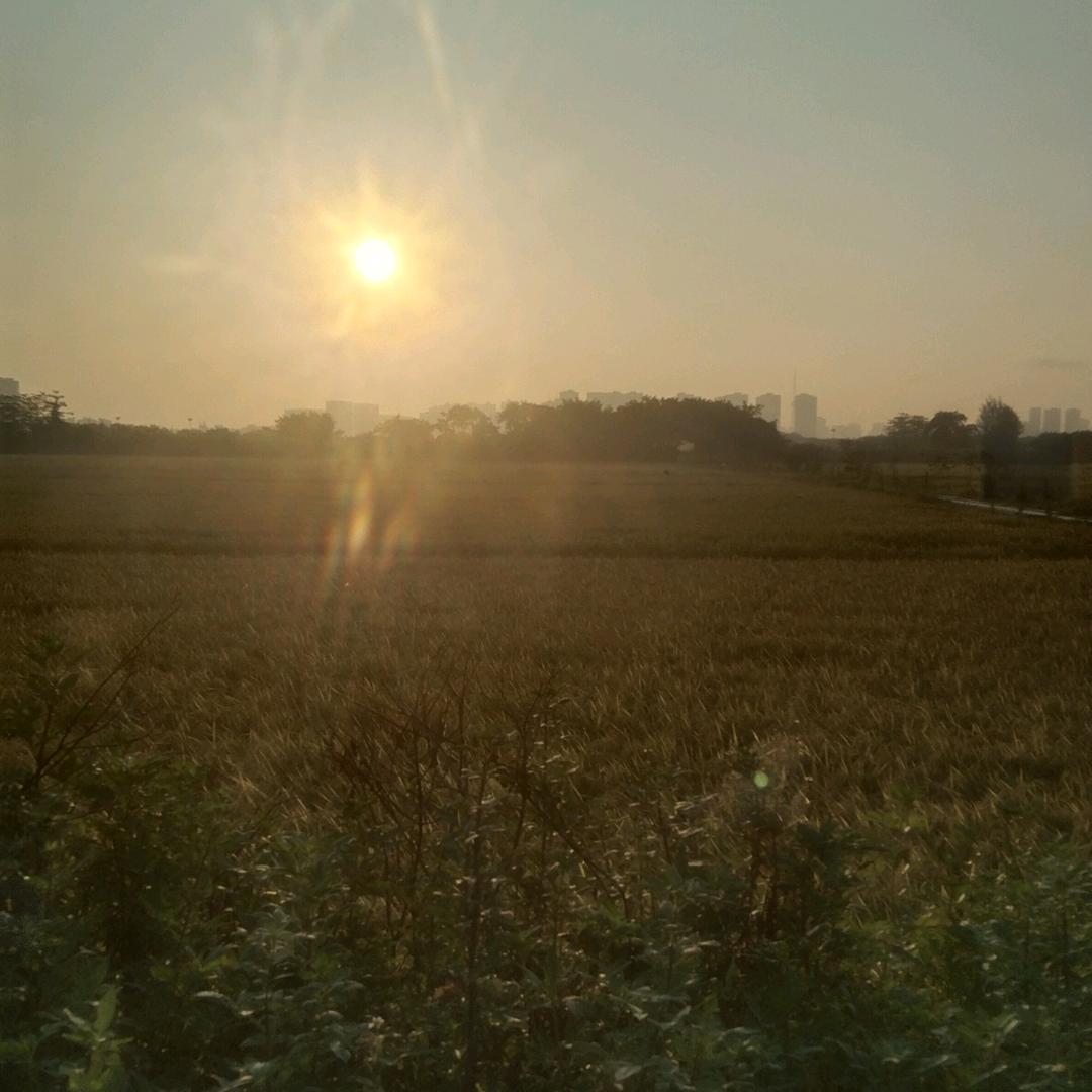 🍀媛媛🌴妈咪