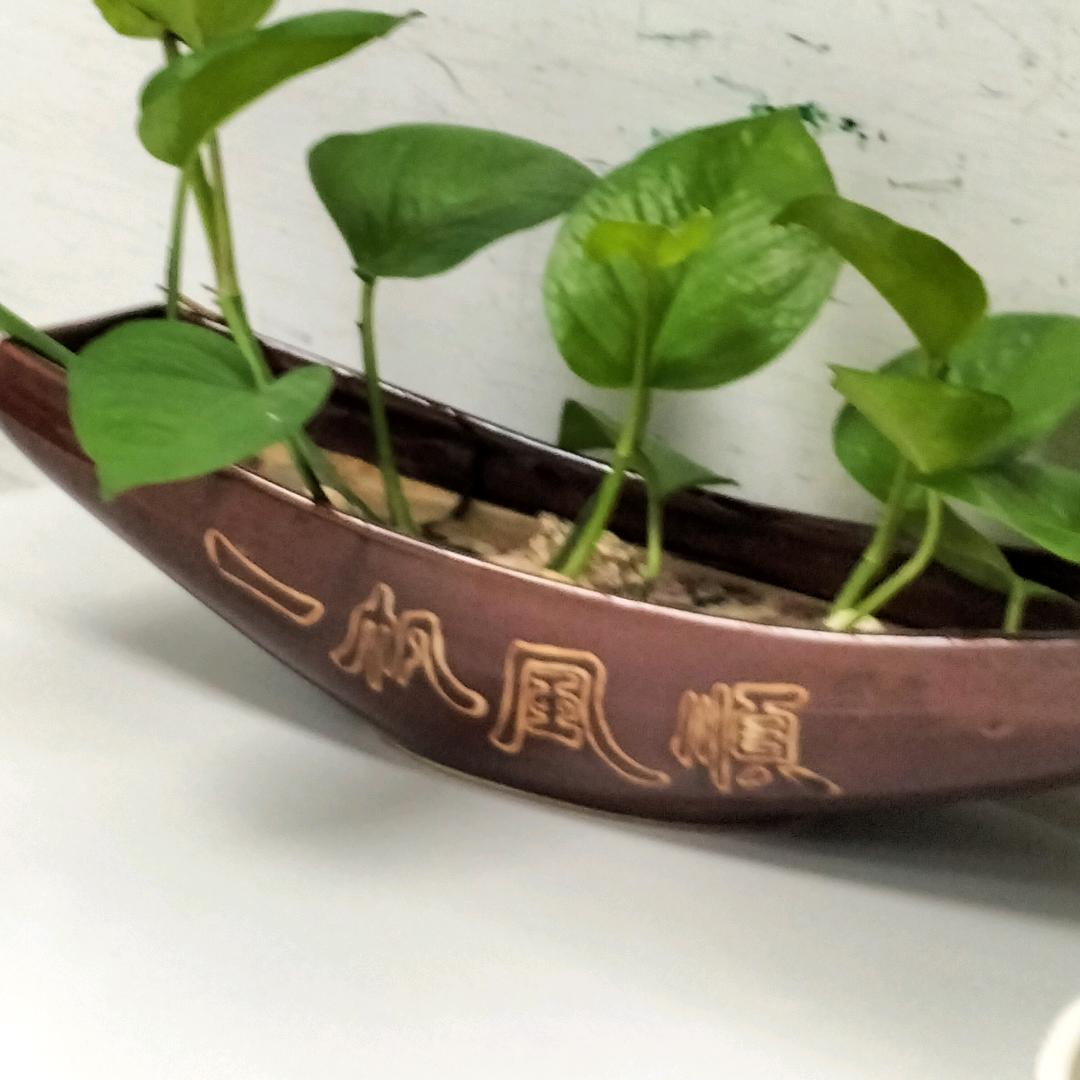 朱