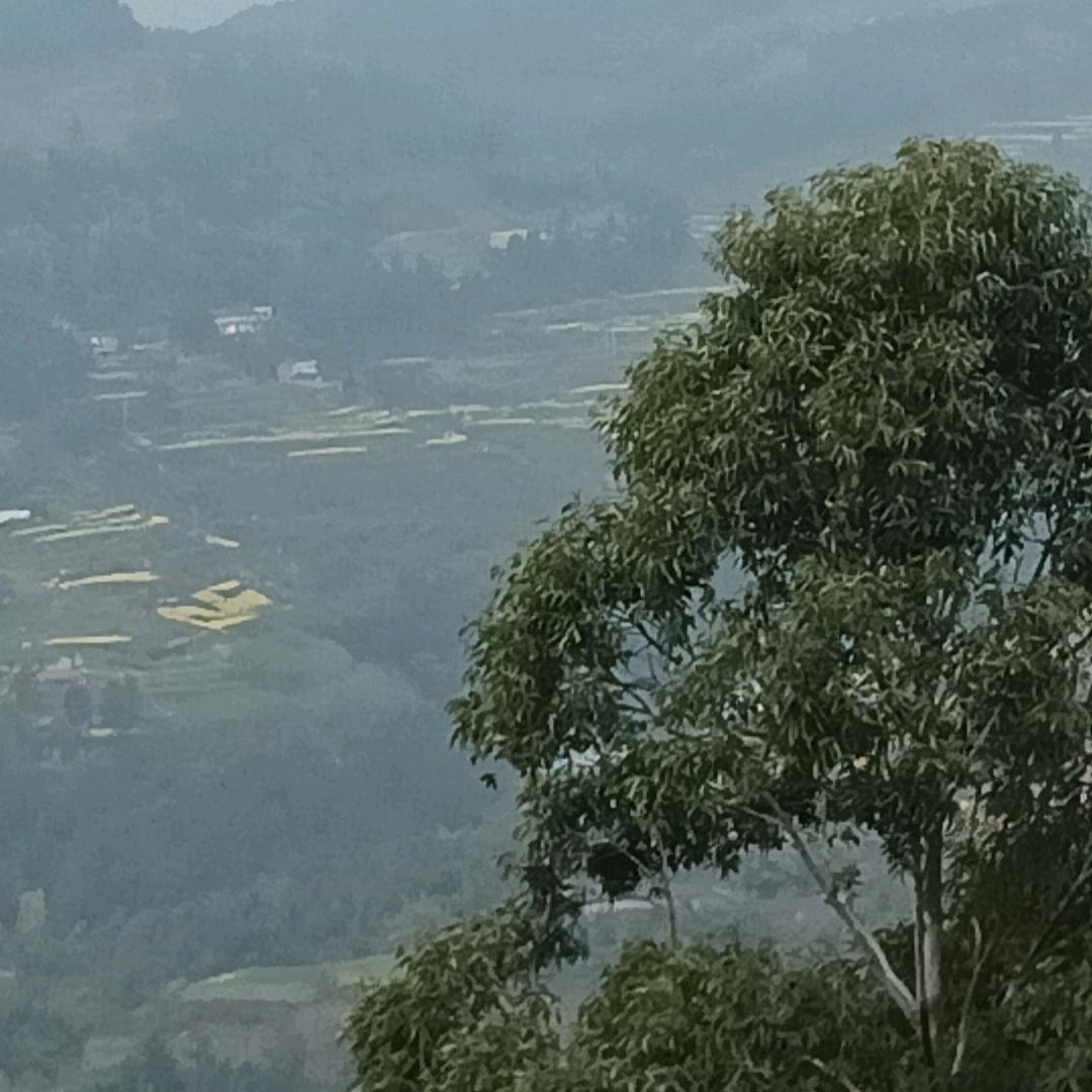 跑车的农村人