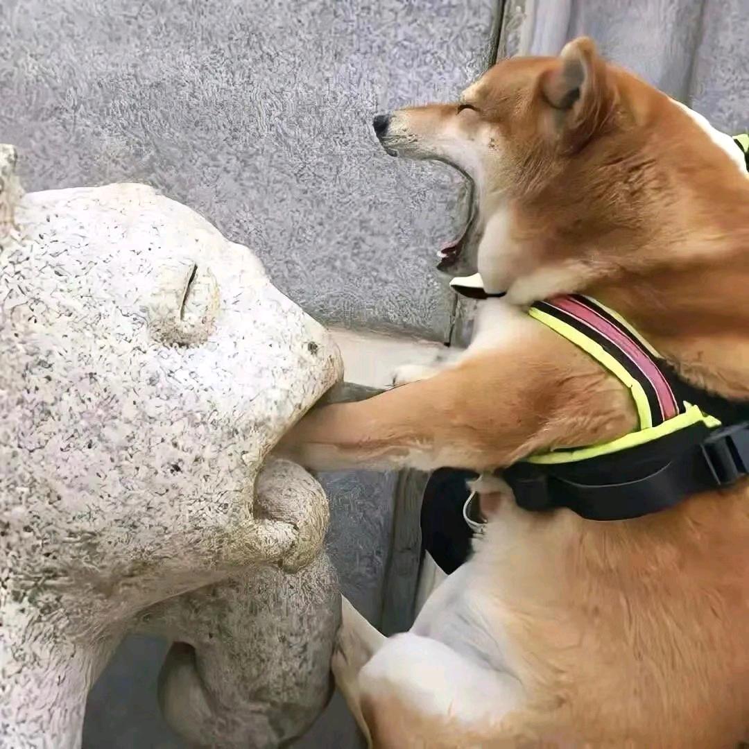 熬着