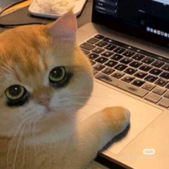 量仔的科研绘图