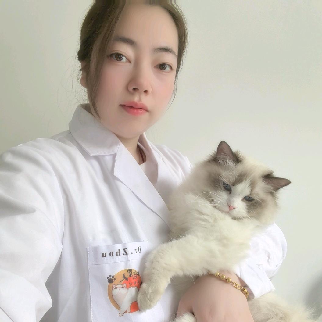 粥粥教你养宠物