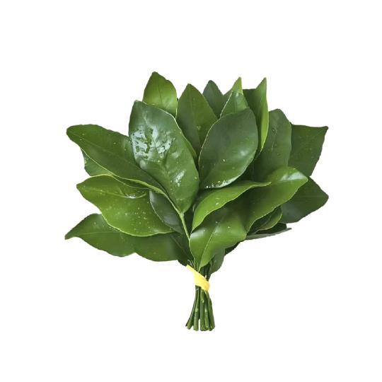 达达.