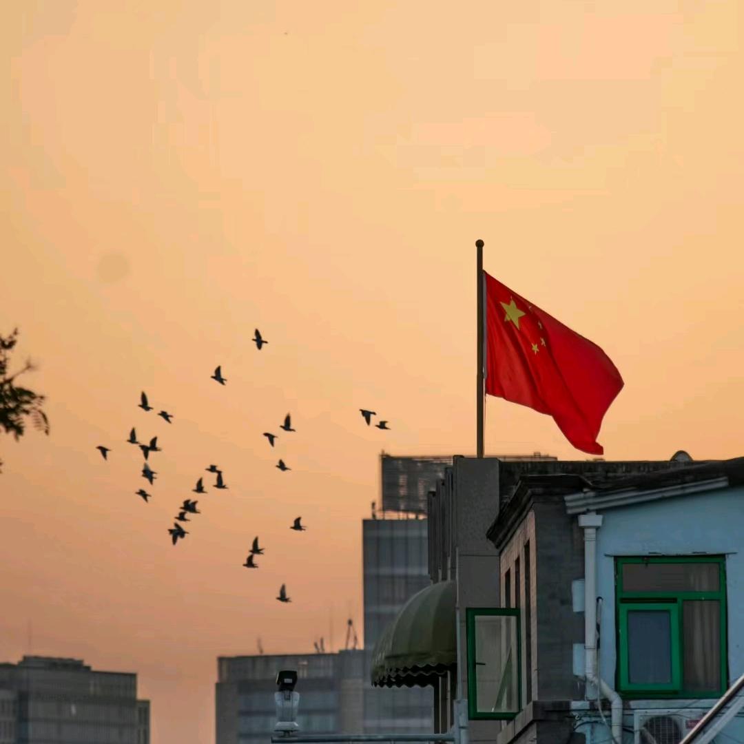 浅殇