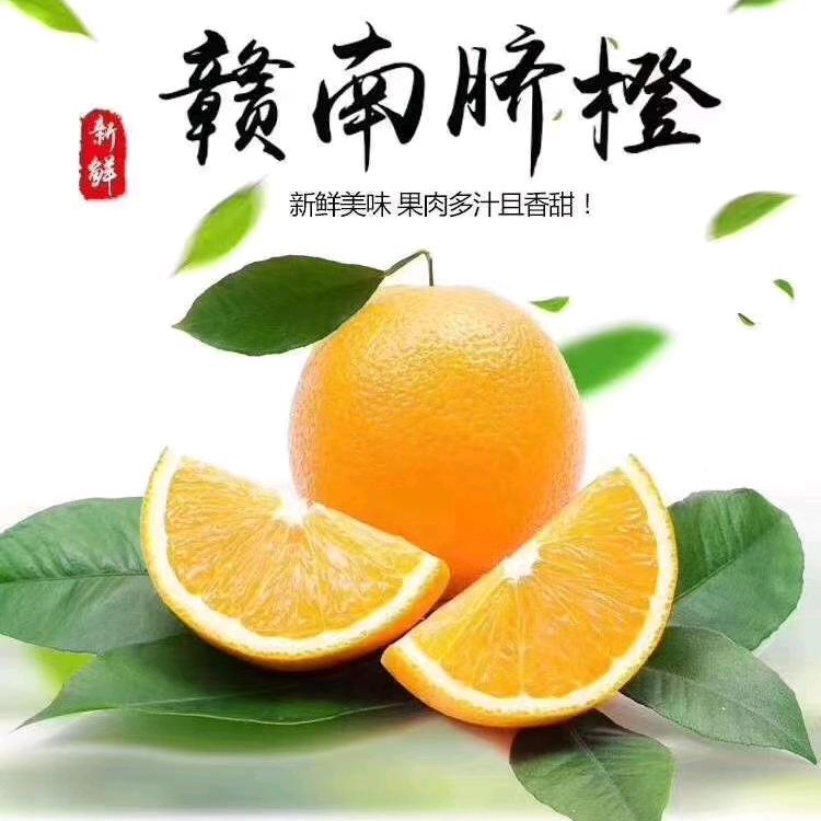 听蚕风·品脐橙
