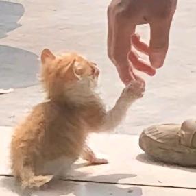 嚯哈嘿哎呀