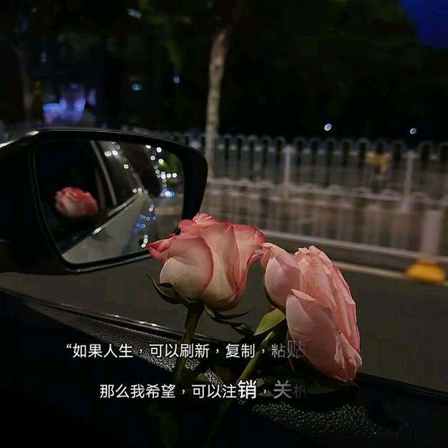 清风淡然