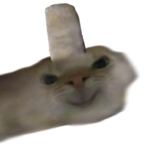 老孙