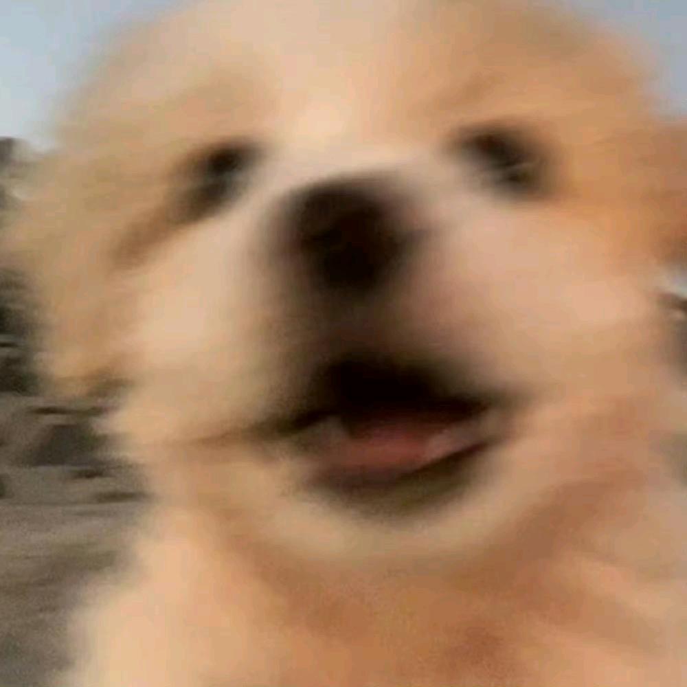 旱獭獭