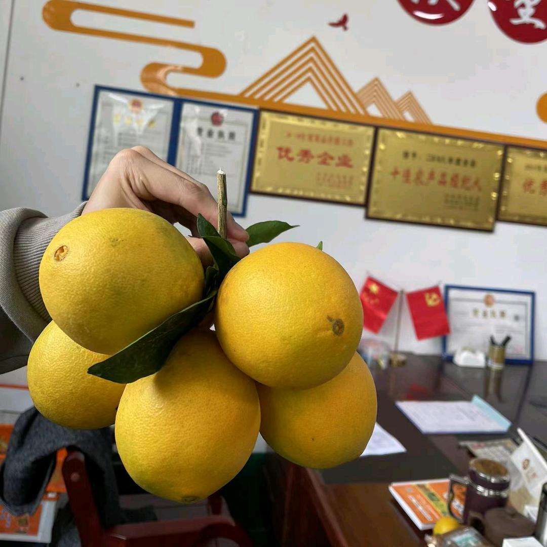 赣龙果品-赣南脐橙