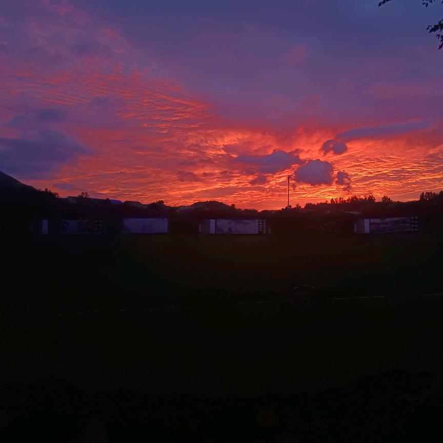 喜欢她好像是上辈子的事