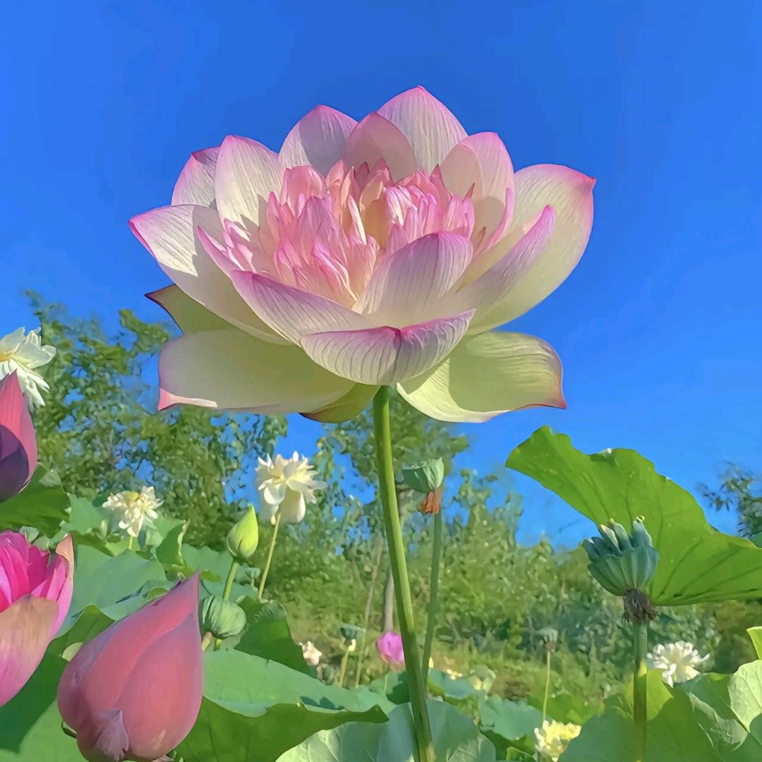 余生平安健康