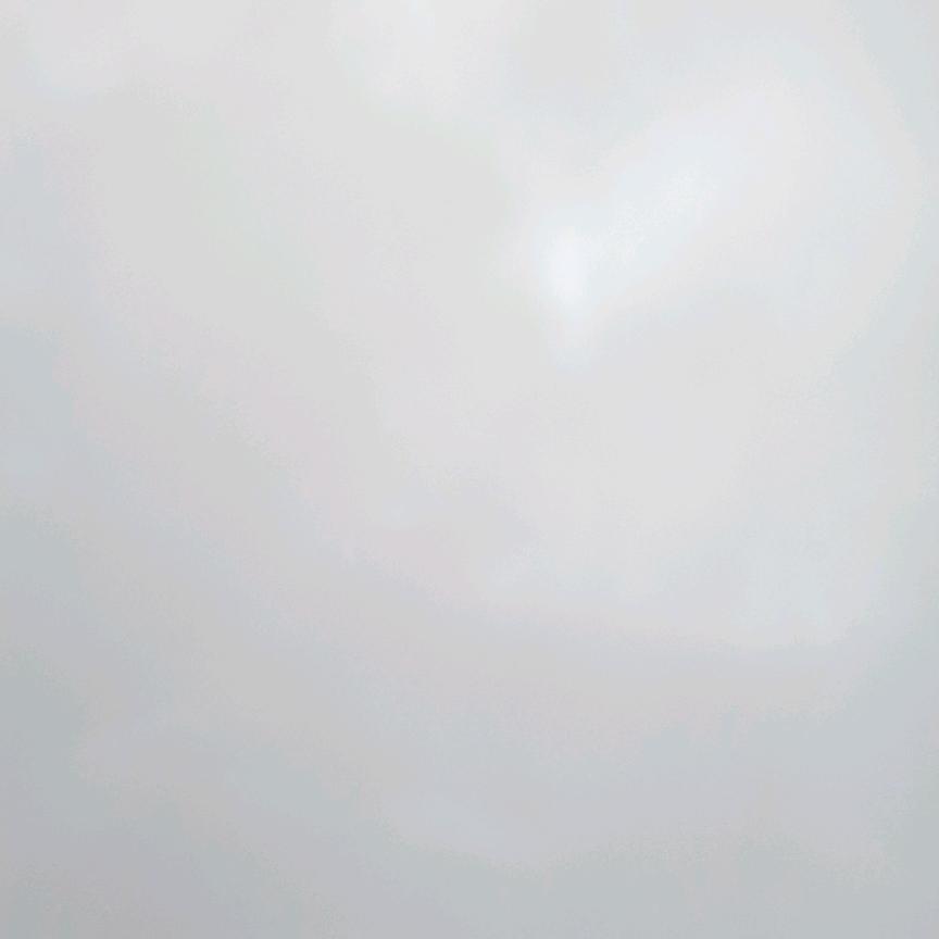 黑粉