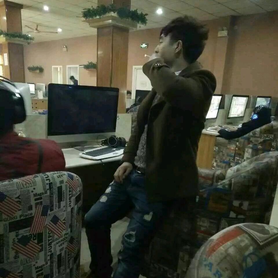 仅限观花