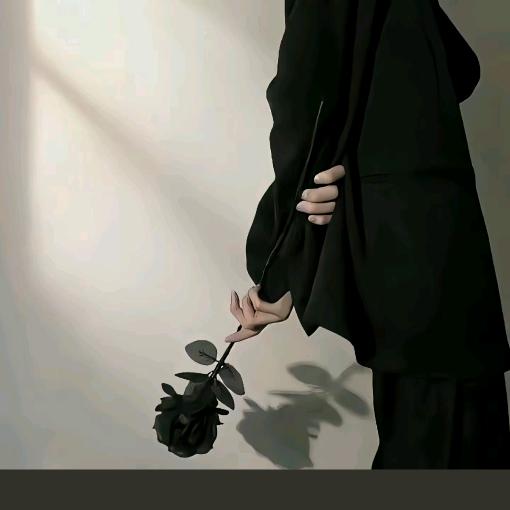 温暖向阳—（杨）