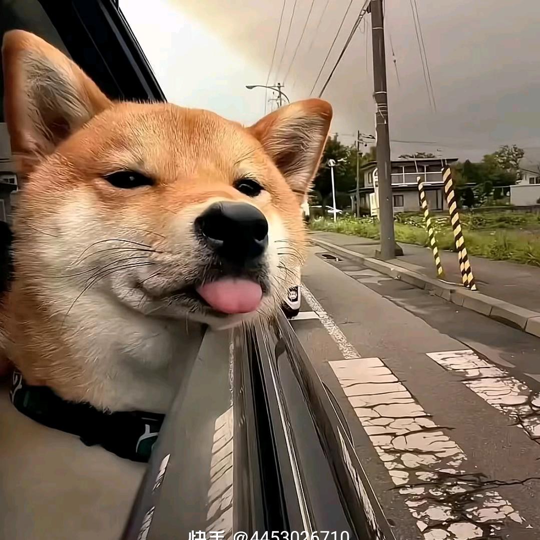 空空荡荡也是空