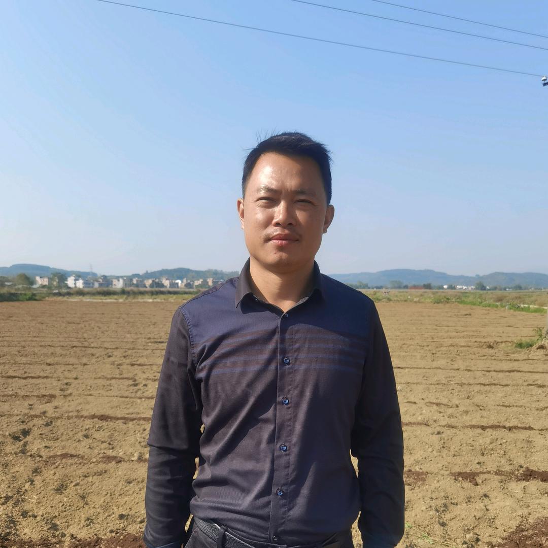 土地很忙（莫晓战）