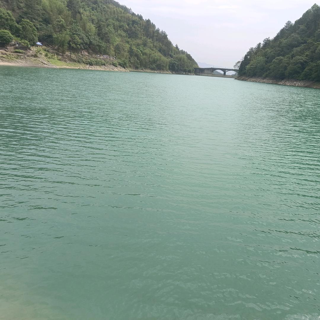 陈春梅