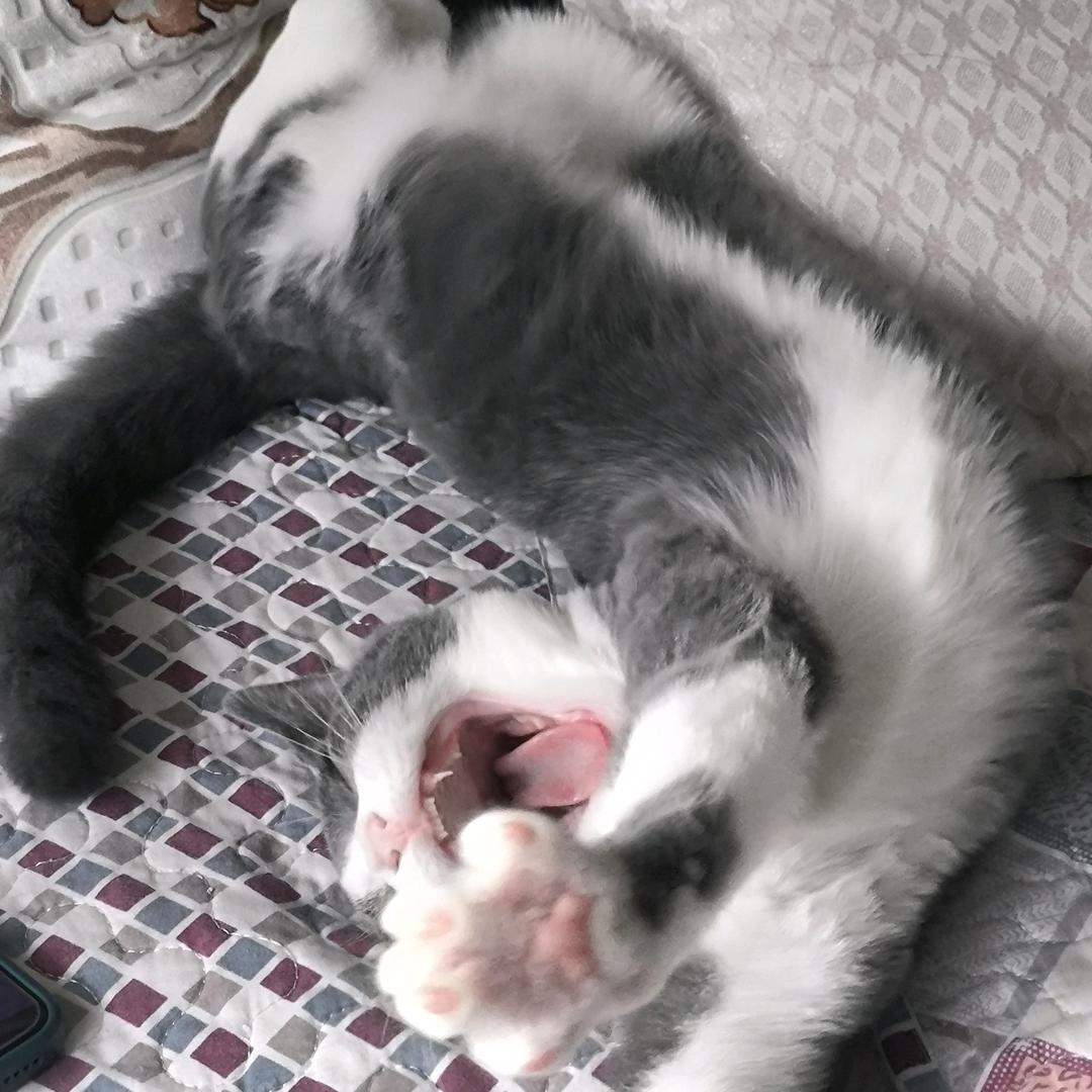 洛~