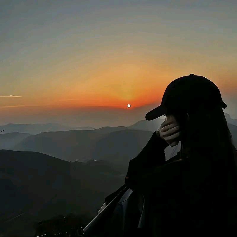 憨憨在搬砖