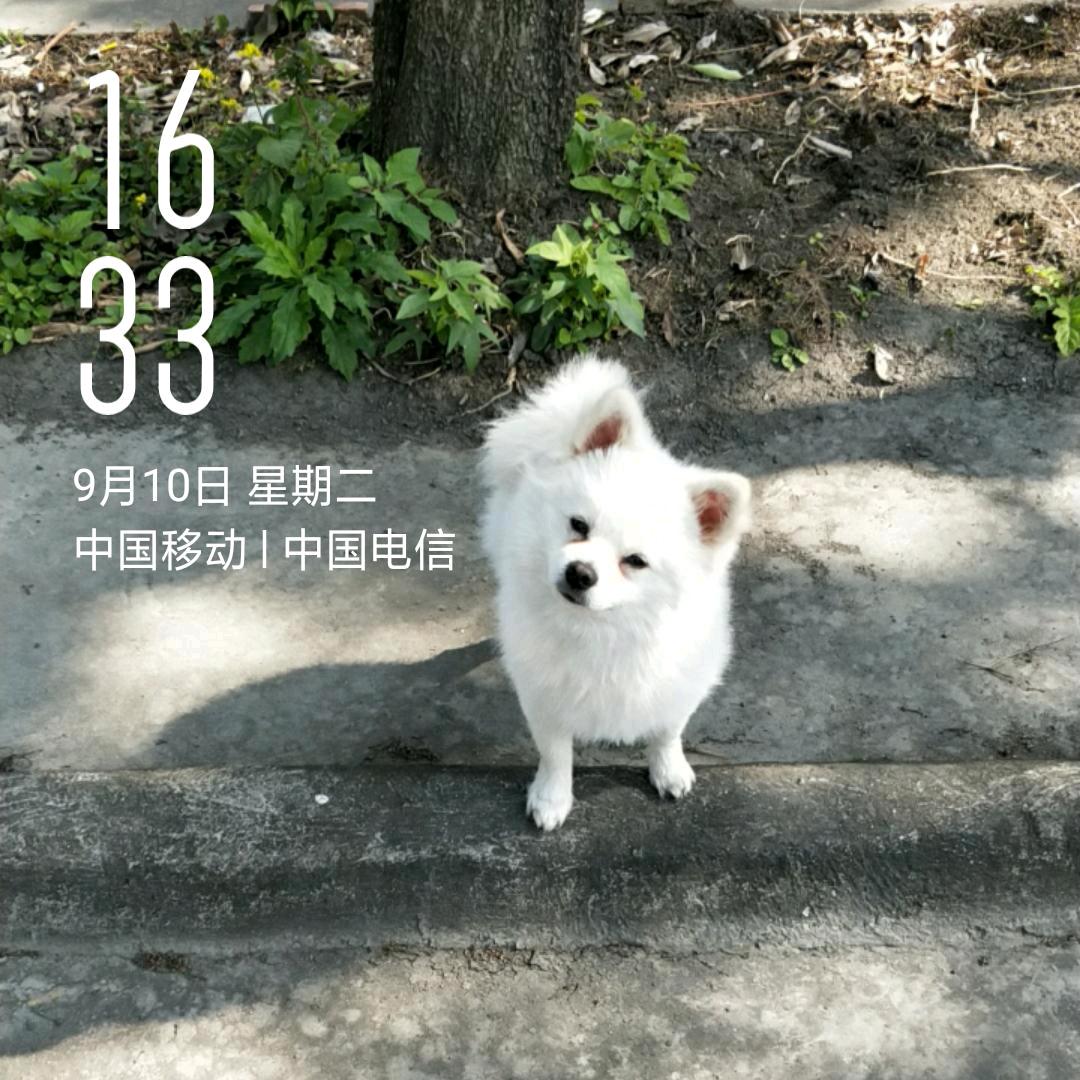 航母