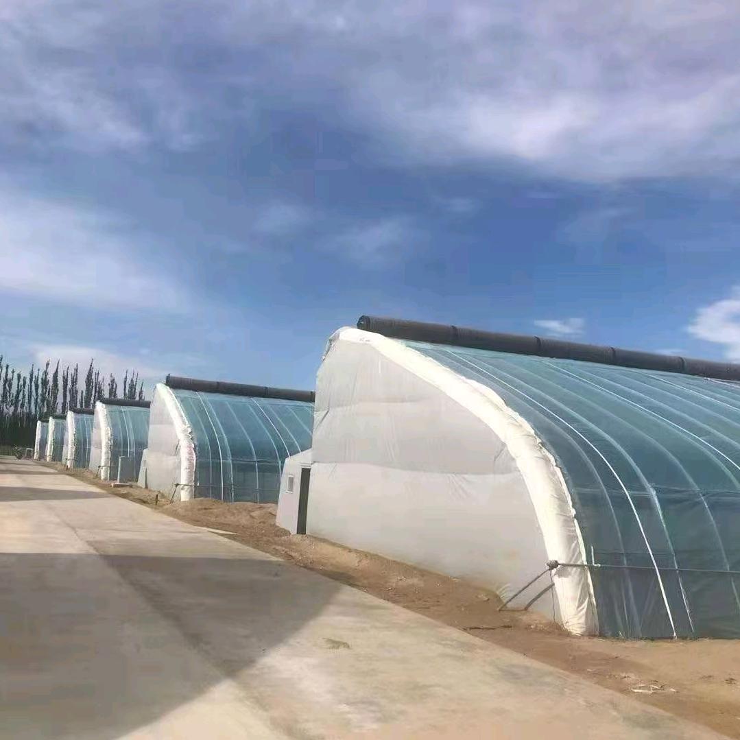 保温大棚厂批发全国包邮包安装