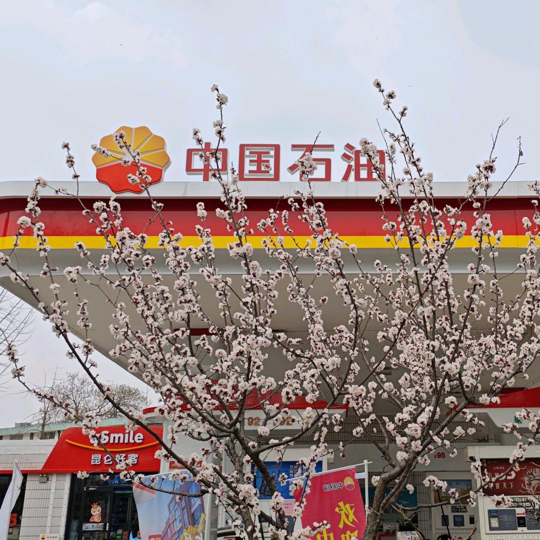 中石油莲城大道站